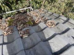 屋根を劣化させる要因にはどんなものがある？